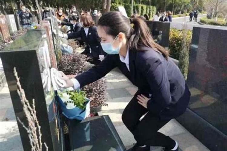 梦见儿子被黄蜂蛰了