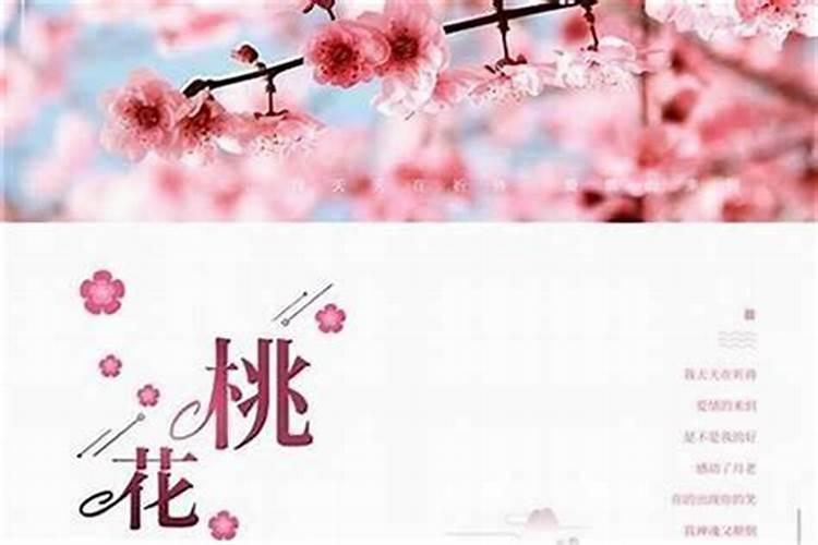 梦见手机被偷又要回的预兆