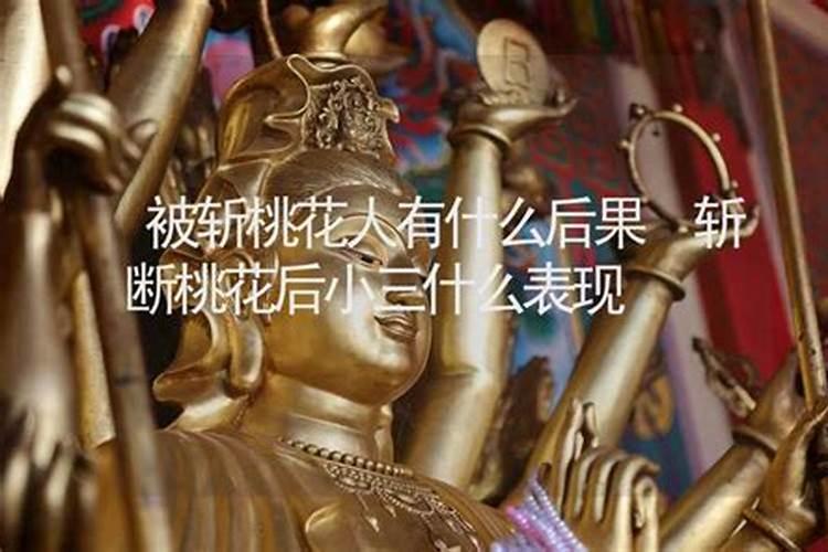 被斩桃花人有什么后果