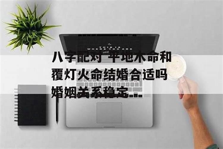 狗宝宝几月出生最好生肖狗哪个月出生的最好命