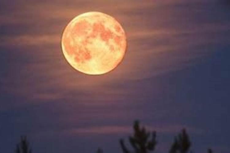 月亮节是哪个民族的节日