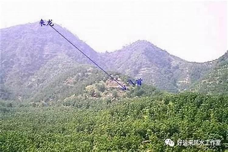 八字带文昌星的人好吗？一定是个聪明人