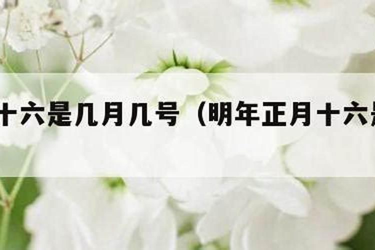 2024年大年初一是几号