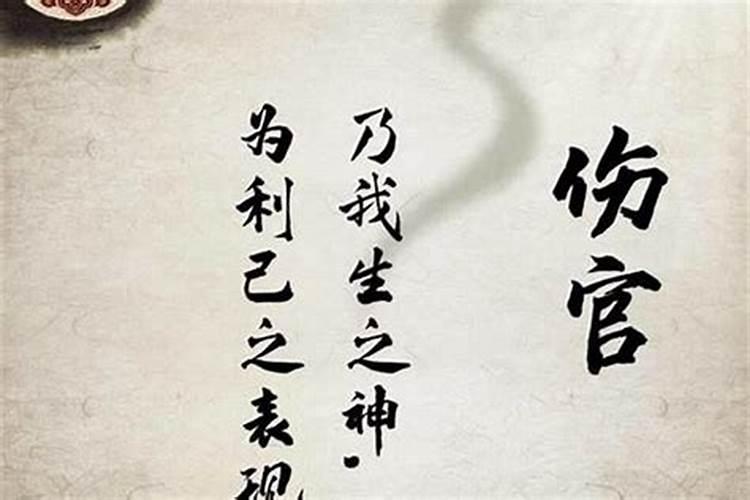 88年的人今年婚姻好吗 2024年运势解析