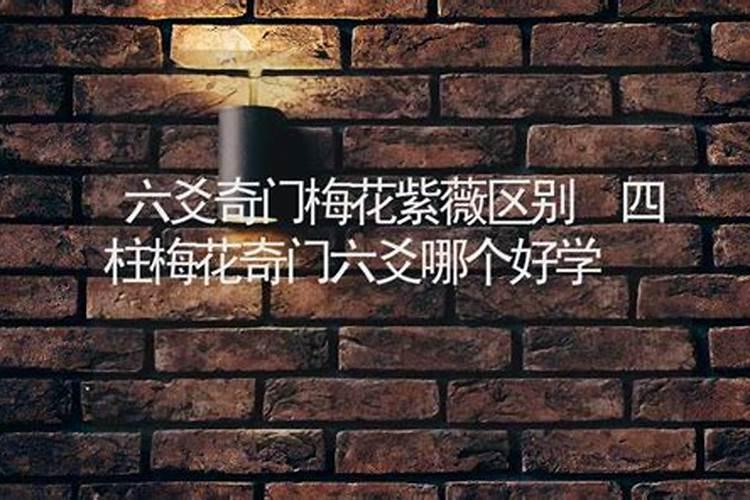 属鼠立冬前出生好,还是立冬后出生好