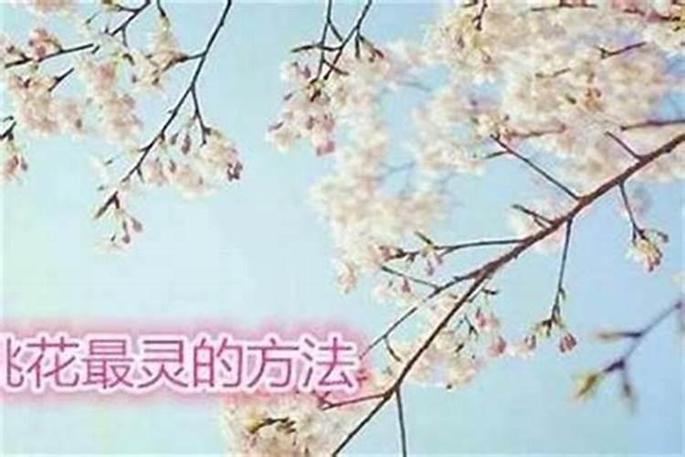梦到自己上厕所大便,结果满墙上地上都是肮脏的带血的卫生巾,这梦是什么...