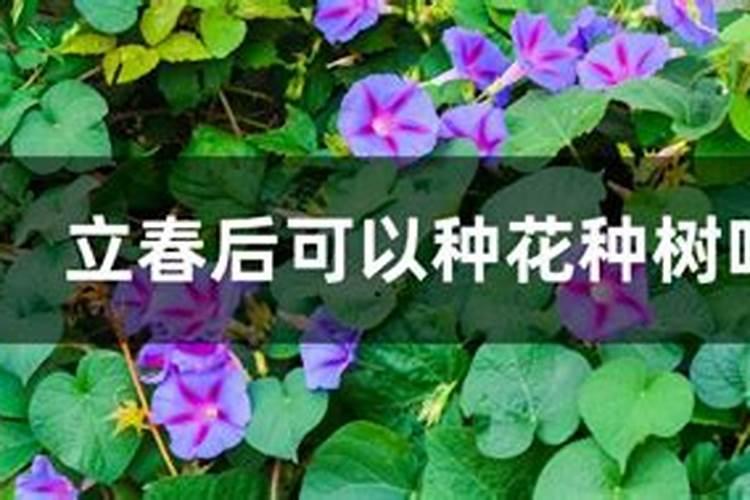 ...什么时候到啊,就是适合穿短袖了,不用穿外套呢,几月份呢