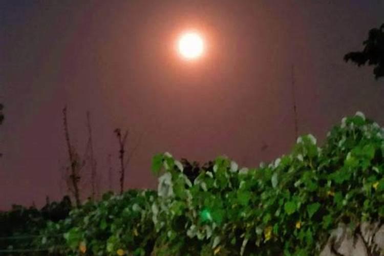 农历10月1日是什么节日