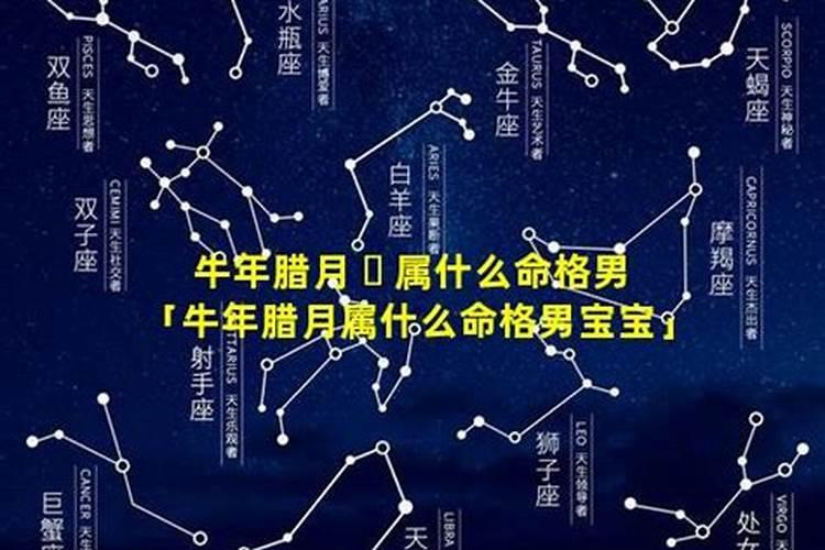 2021牛年农历腊月十四出生的孩子八字详解亥时为生子吉时