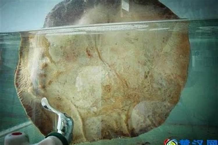 中国古代传说中最可怕的恶鬼、恶神、恶煞有哪些？