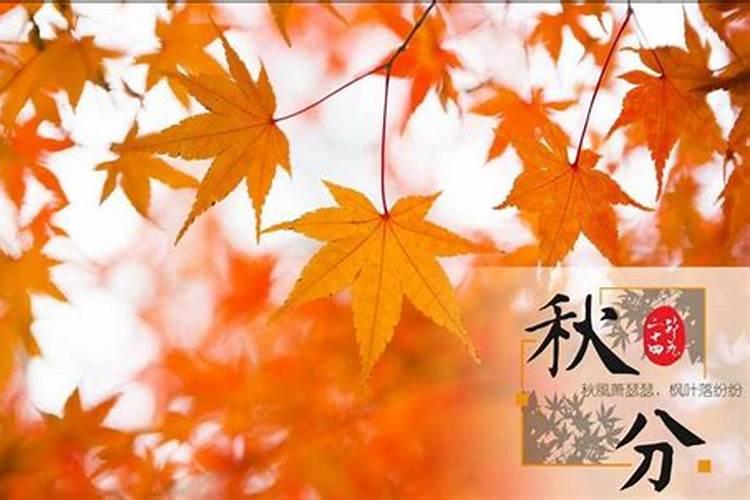 龙年犯太岁属相怎么化解