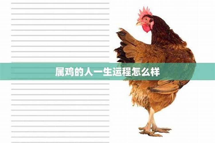 北京哪个道观可以皈依