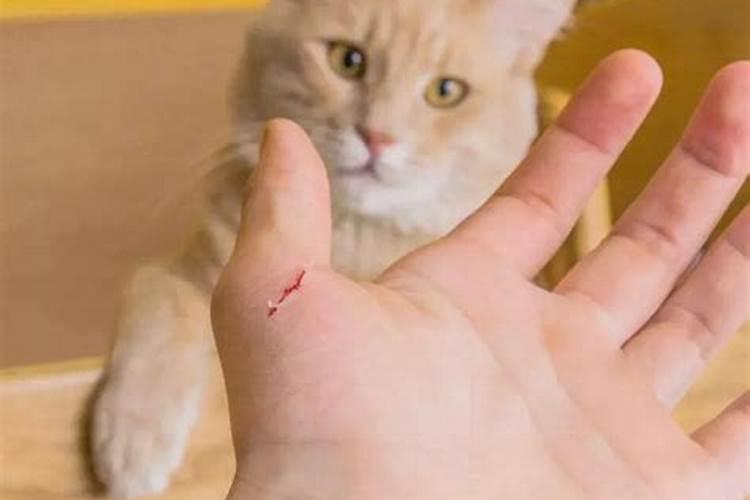 女人梦见发洪水逃生成功
