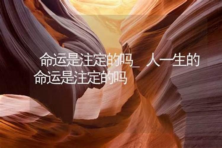 苦命的人面相分析