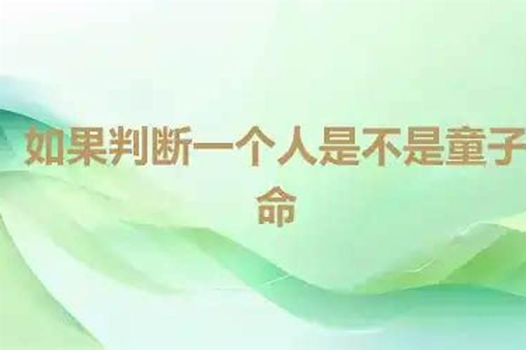 八字的四柱代表什么意思