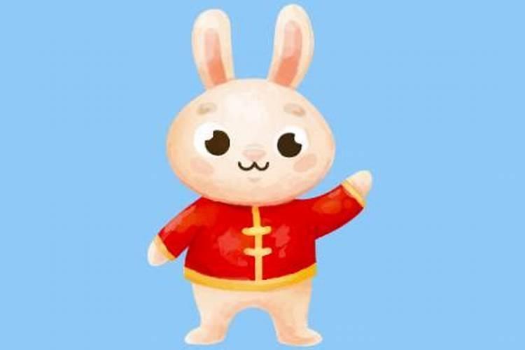 属兔人2025年全年运势及运程