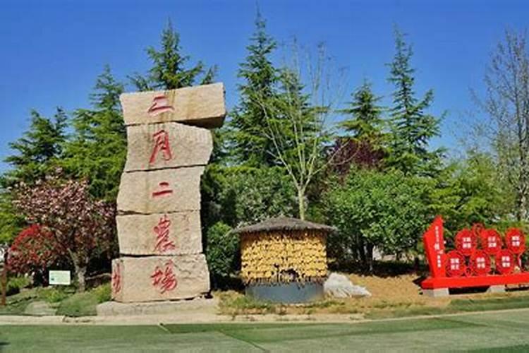 日柱带童子是什么意思 什么是日柱带童子