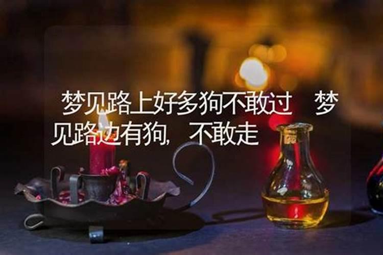 梦见路上有许多狗的预兆