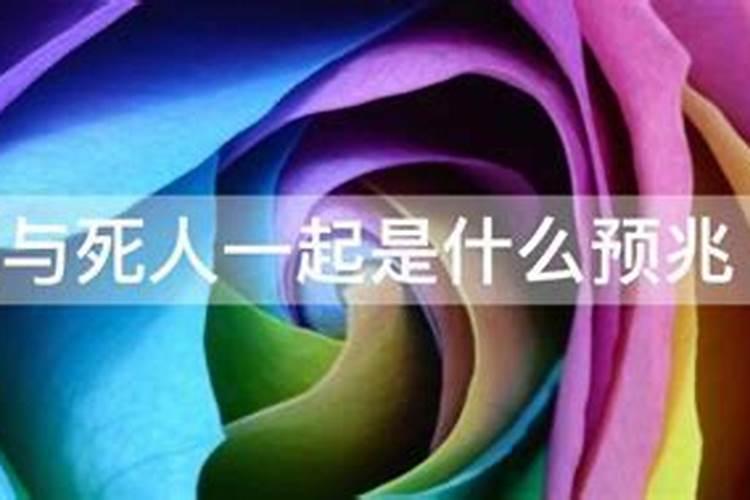 94年女狗2025年运势
