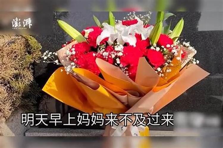清明节的介绍 清明节是做什么的日子