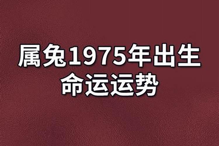 2025年属兔1975人的全年运势