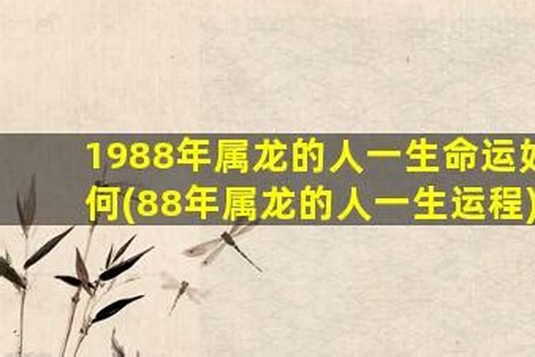 八字轻的人怎么办？如果化解？