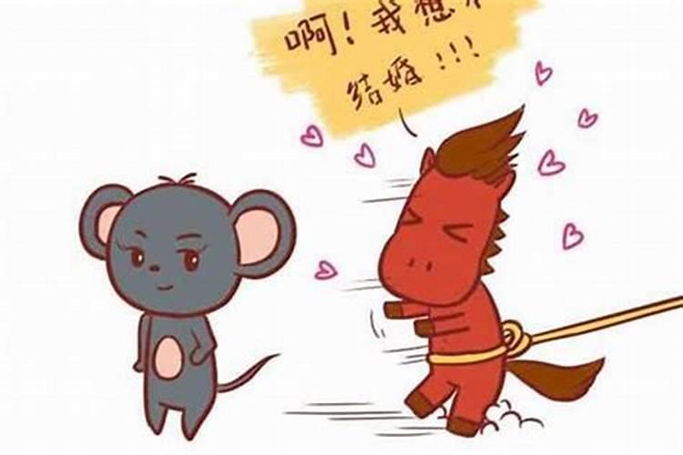 鼠生肖鼠的人本周运势,属马人遇鼠年怎么化解