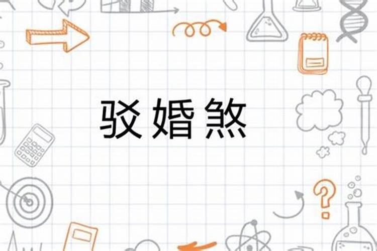 属龙人出生12个月12种不同命