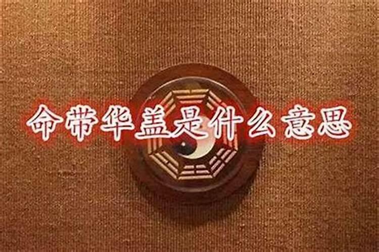 属羊一月到十二月命运