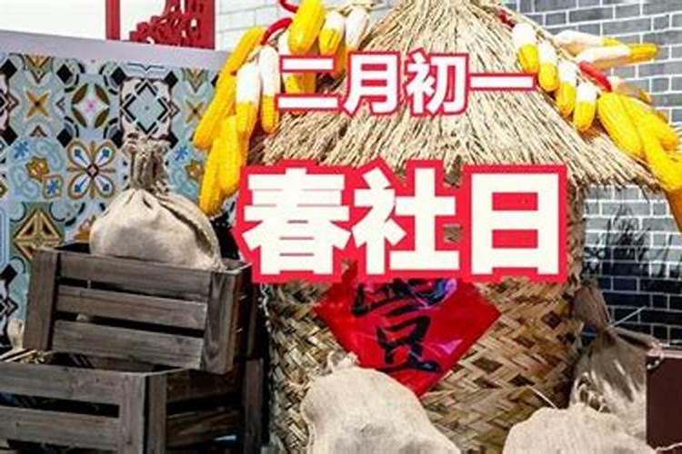 梦见爸爸一起挖土