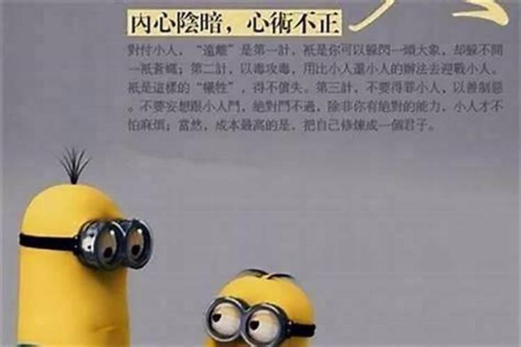 初二央视有什晚会