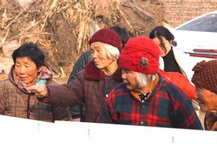 属狗人2025年全年运势运程免费 属狗2025年每月运势及运程详解