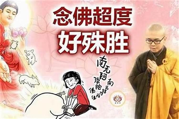 87年兔2025年运势及运程每月运程