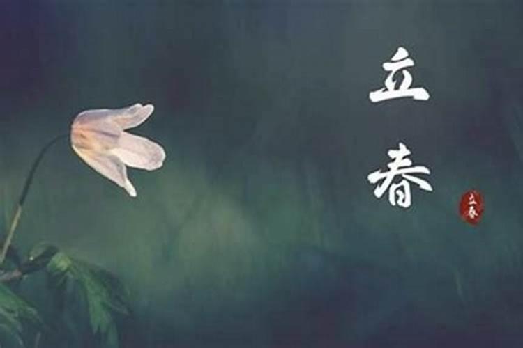 2025年蛇宝宝是什么命