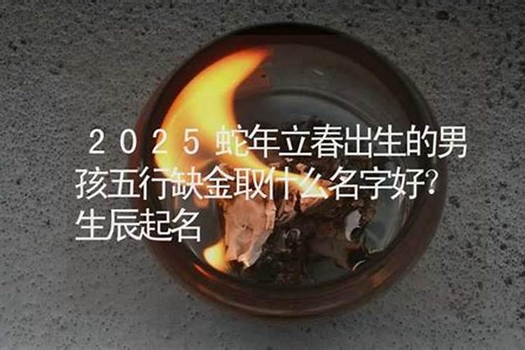 2025蛇年是什么命
