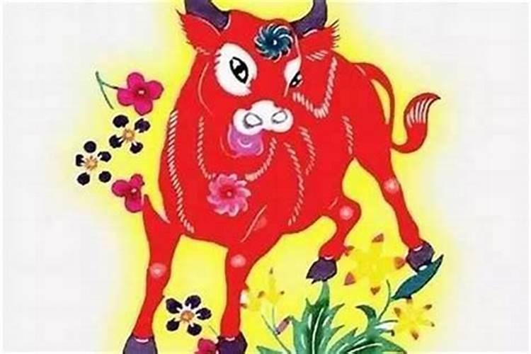 龙年哪个月份出生的宝宝最好