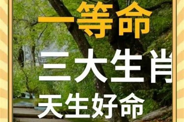 是清明和父亲的2周年祭日哪个重要