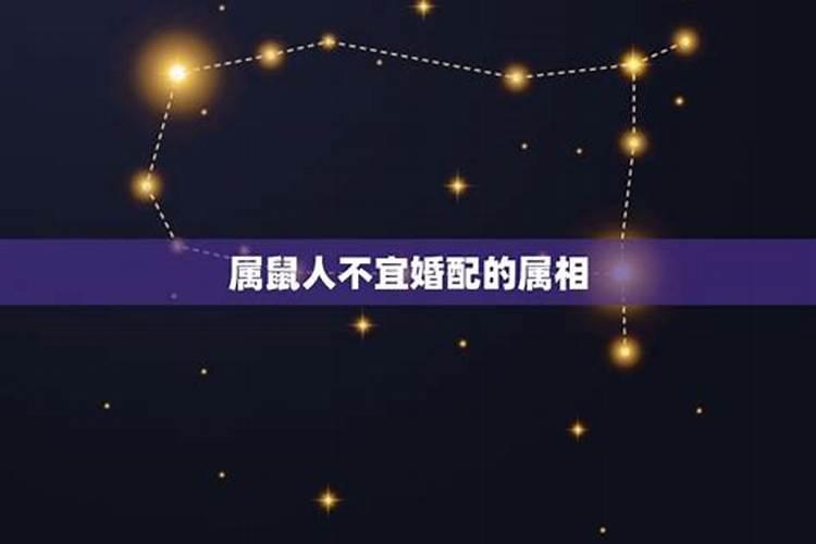 如何根据生辰八字查询五行属性？