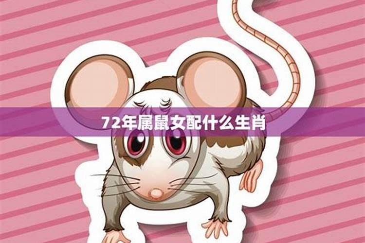 属鼠的和什么属相最配 属鼠的属相婚配表
