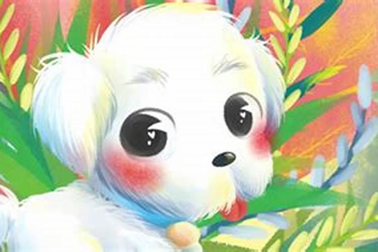 1982年属狗女一生命运