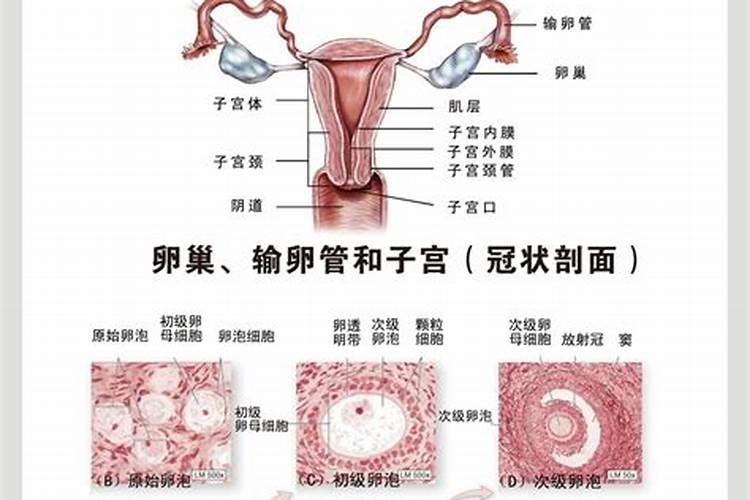 超厉害改运的几个方法