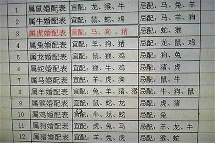 犯太岁有几种类别的,哪一种最严重的