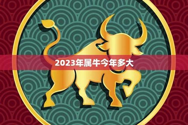 2025年属牛多大了