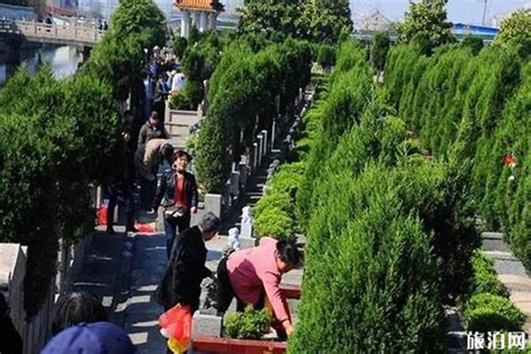 苏州清明节吃什么？
