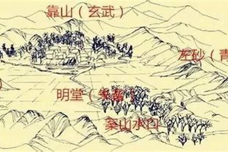 梦见把蛇砍两段的预兆