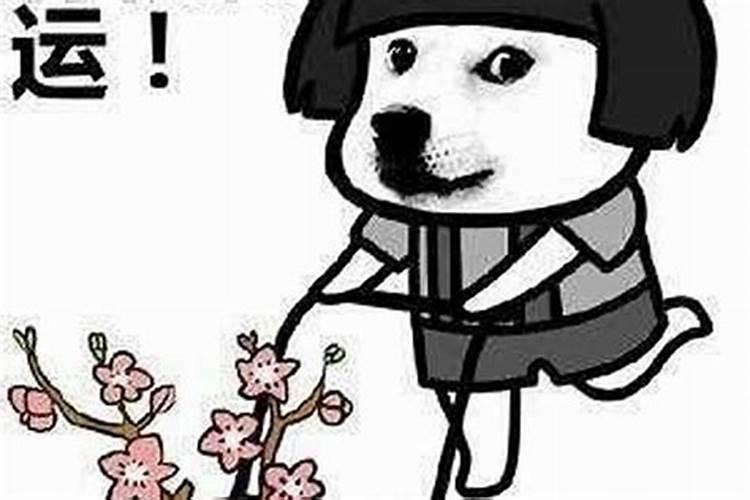 为什么从小到大运气从来没好过？