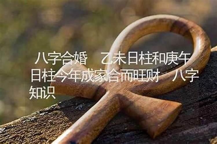 六甲日出生男女八字合婚表