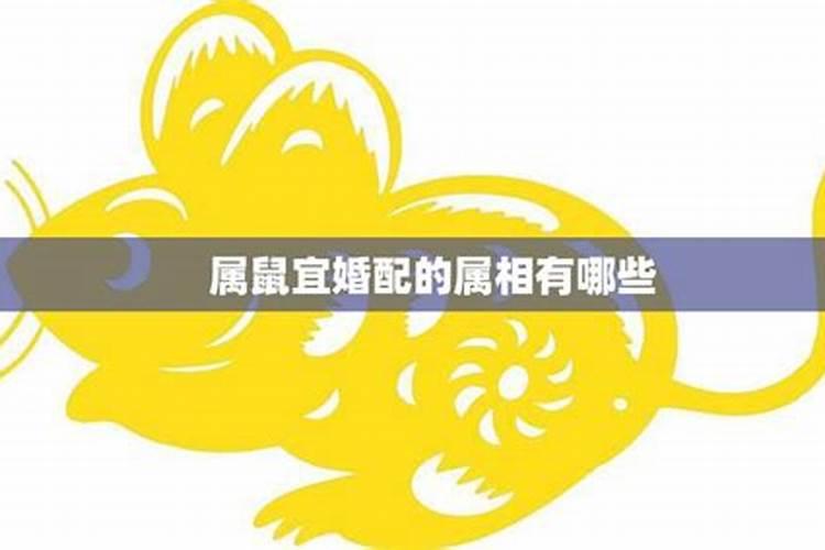 适合2023年高考的八字 财官印俱全？