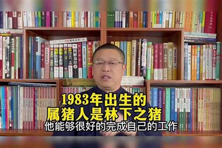 1983年属猪未来6年大运