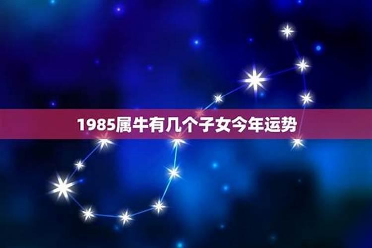 算命入门基础知识